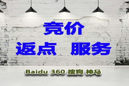 百度竞价推广公司经典案例解析：广告投放策略的智慧